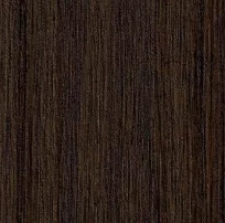 Bolonia F