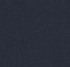 Bolonia F