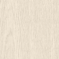 Bolonia F