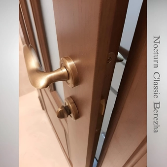 Межкомнатные двери из массива ясеня Nocturn Classic