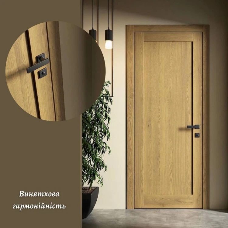 Межкомнатные двери из массива ясеня Axis Loft