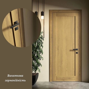 Межкомнатные двери из массива ясеня Axis Loft