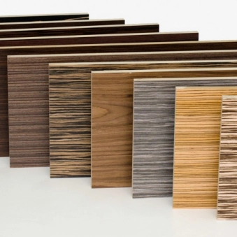 Plano L Veneer
