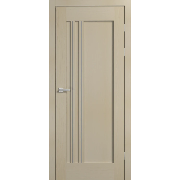 Двері Modern 6.1