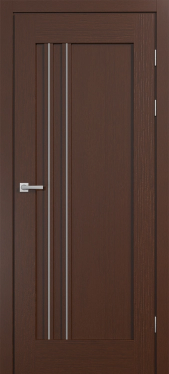 Двері Modern 6.1