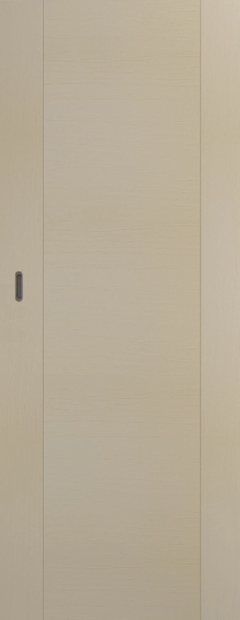Раздвижные двери Loft 1