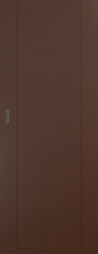 Раздвижные двери Loft 1