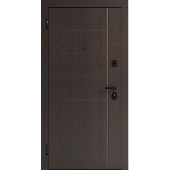 Входные двери Basic F 106