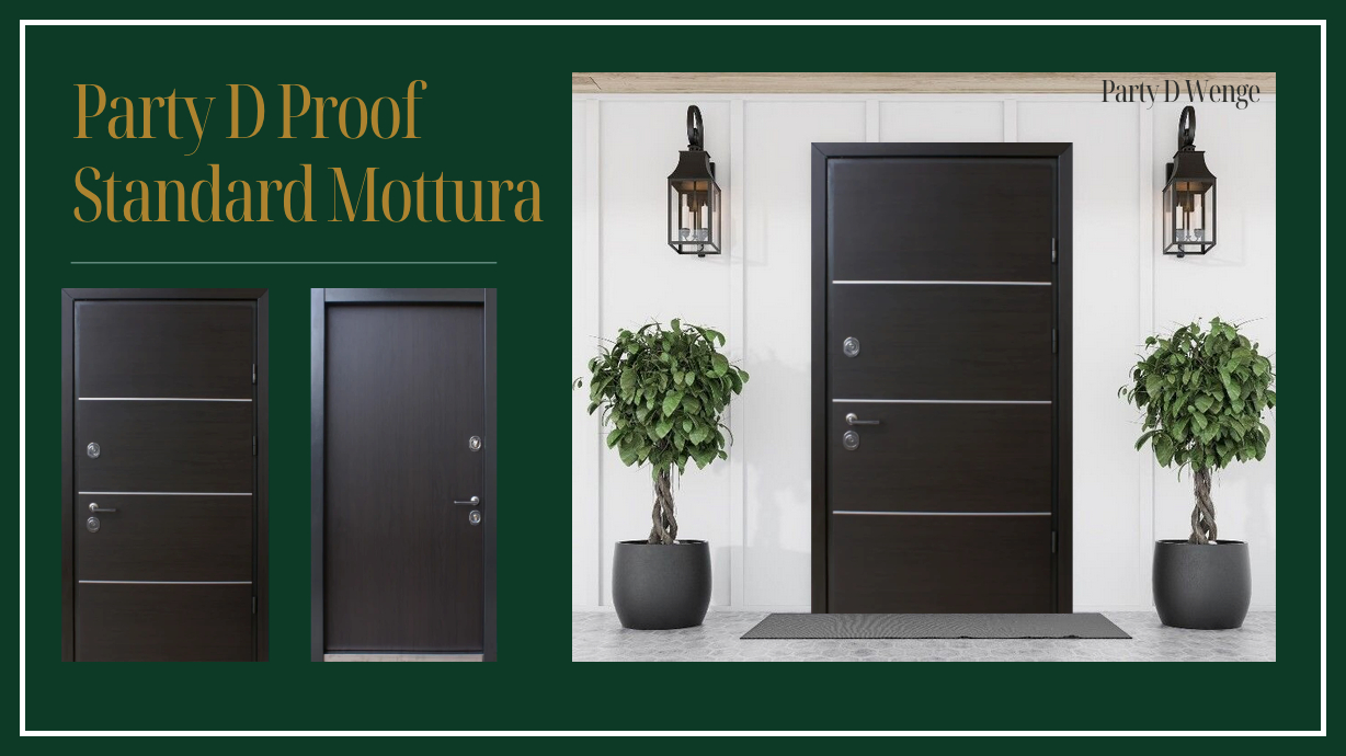 Металеві вхідні двері в будинок Party D Proof Standart Mottura