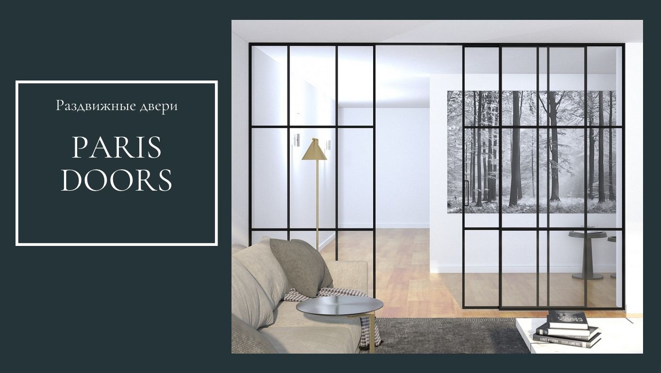 Розсувні скляні двері Paris Doors